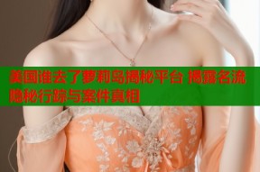 美国谁去了萝莉岛揭秘平台 揭露名流隐秘行踪与案件真相