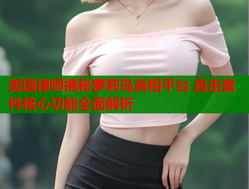 美国律师揭秘萝莉岛真相平台 直击案件核心功能全面解析  第1张