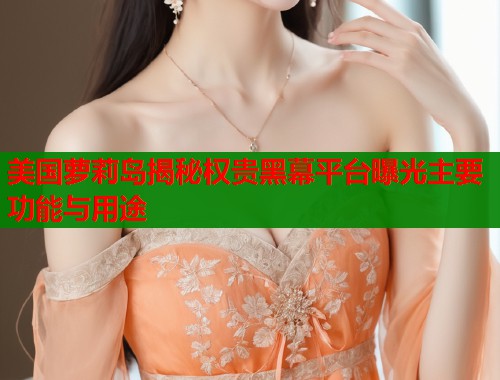 美国萝莉岛揭秘权贵黑幕平台曝光主要功能与用途  第1张