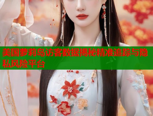 美国萝莉岛访客数据揭秘精准追踪与隐私风险平台  第1张