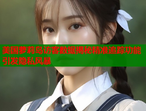 美国萝莉岛访客数据揭秘精准追踪功能引发隐私风暴  第1张