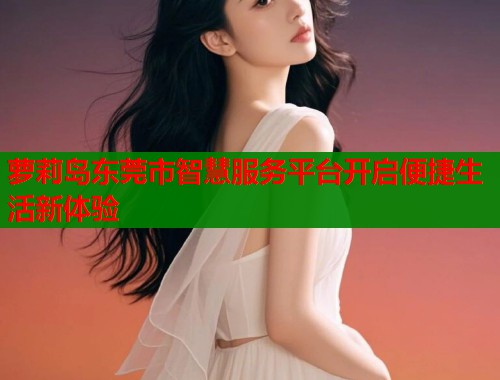 萝莉岛东莞市智慧服务平台开启便捷生活新体验  第2张