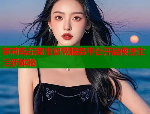 萝莉岛东莞市智慧服务平台开启便捷生活新体验  第1张