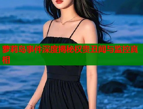 萝莉岛事件深度揭秘权贵丑闻与监控真相  第1张