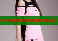 李小龙探秘萝莉岛黑幕揭秘平家内容