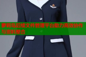 萝莉岛后续文件管理平台助力高效协作与资料整合