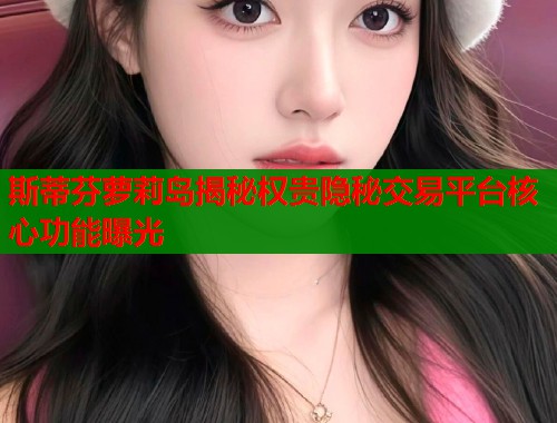 斯蒂芬萝莉岛揭秘权贵隐秘交易平台核心功能曝光  第1张